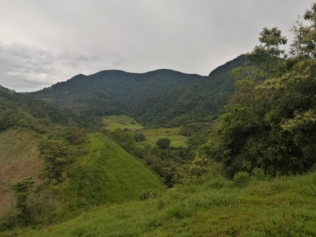 Senderismo: Recorrido escénico y natural de Finca Santa María de La Selva
