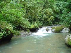 Senderismo: Exploración natural en bosque contiguo a Reserva Nacional Tapantí
