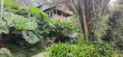 Cabaña Colibrí 