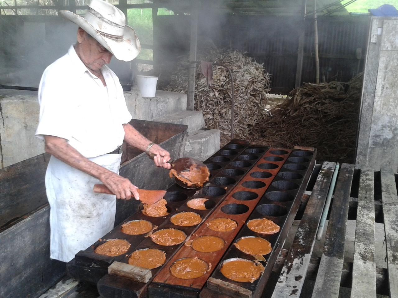 Tour en Trapiche de Caña Dulce Artesanal