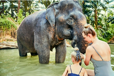 Morning Wash & Swim with Breakfast (Elephant ride not included)