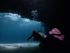 Single Guided Dive