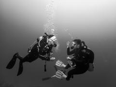 Guided Dives: 6 Dives Package