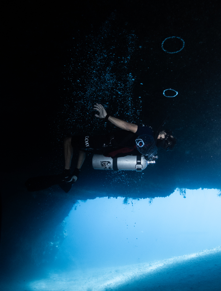 Guided Dives: 12 Dives Package