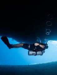 4 Guided Dives Package (Equipment Included)
