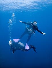 Guided Dives: 10 Dives Package (With Equipment)