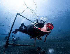 Discover Scuba Diving (DSD)