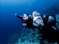 Scuba Diving — Wander Freely