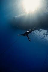 Free Diving — Discover