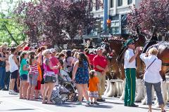 Music City Spin – Half Day Nashville Tour for Private Parties of 1 to 14 Guests