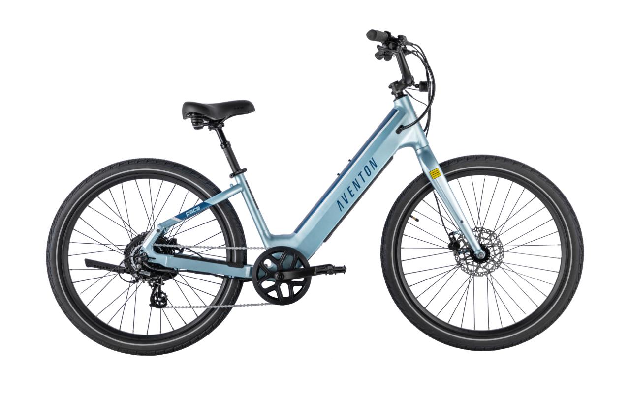 Electric Bike Rental