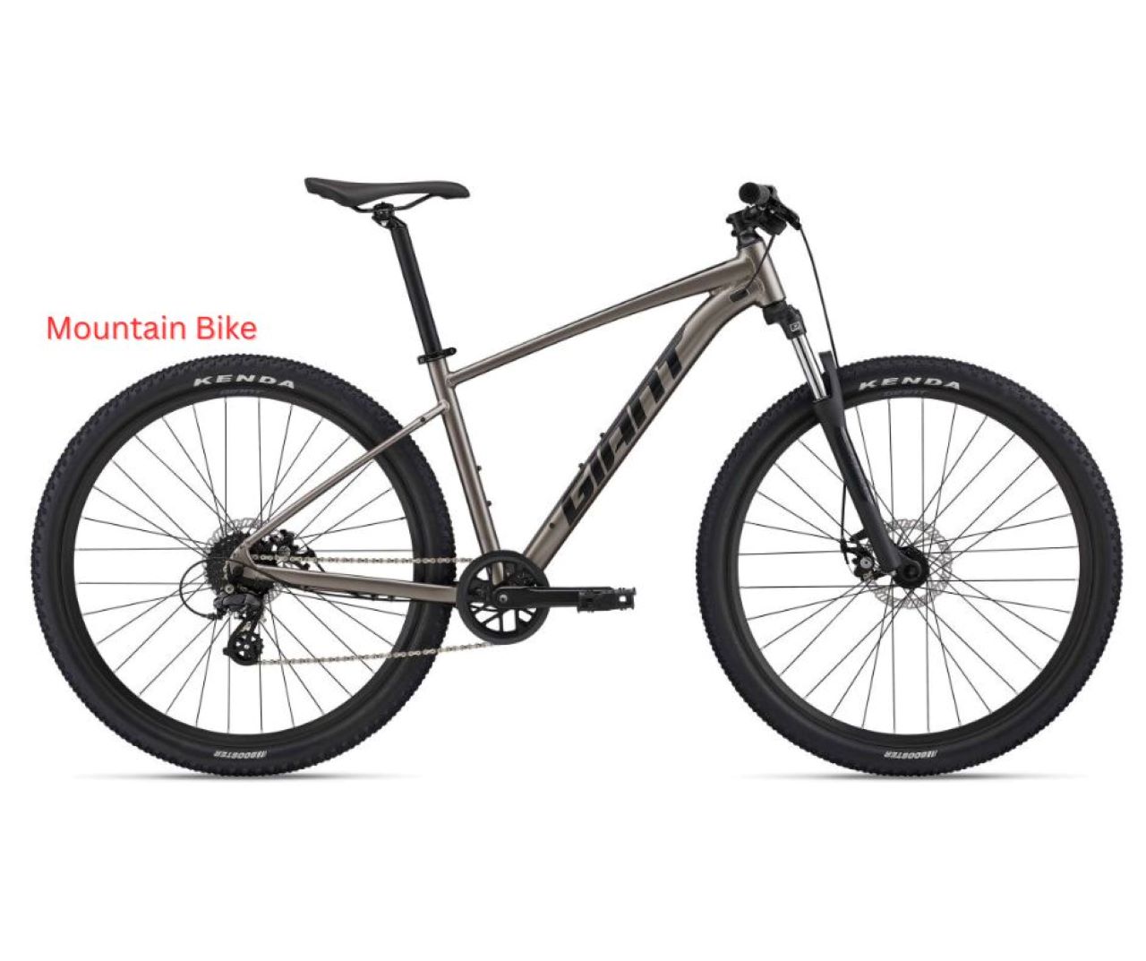 Mountain Bike Rental 1 Day (OTA)