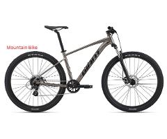 Mountain Bike Rental 1 Day (OTA)