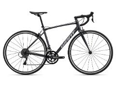 Road Bike Rental 1 Day (OTA)