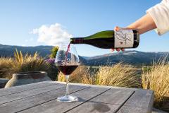 Private Boutique Wine Tour