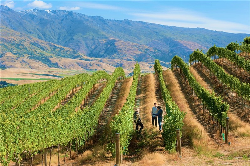 Appellation Wine Tours: Boutique Wine Tour — Queenstown - Photo 4