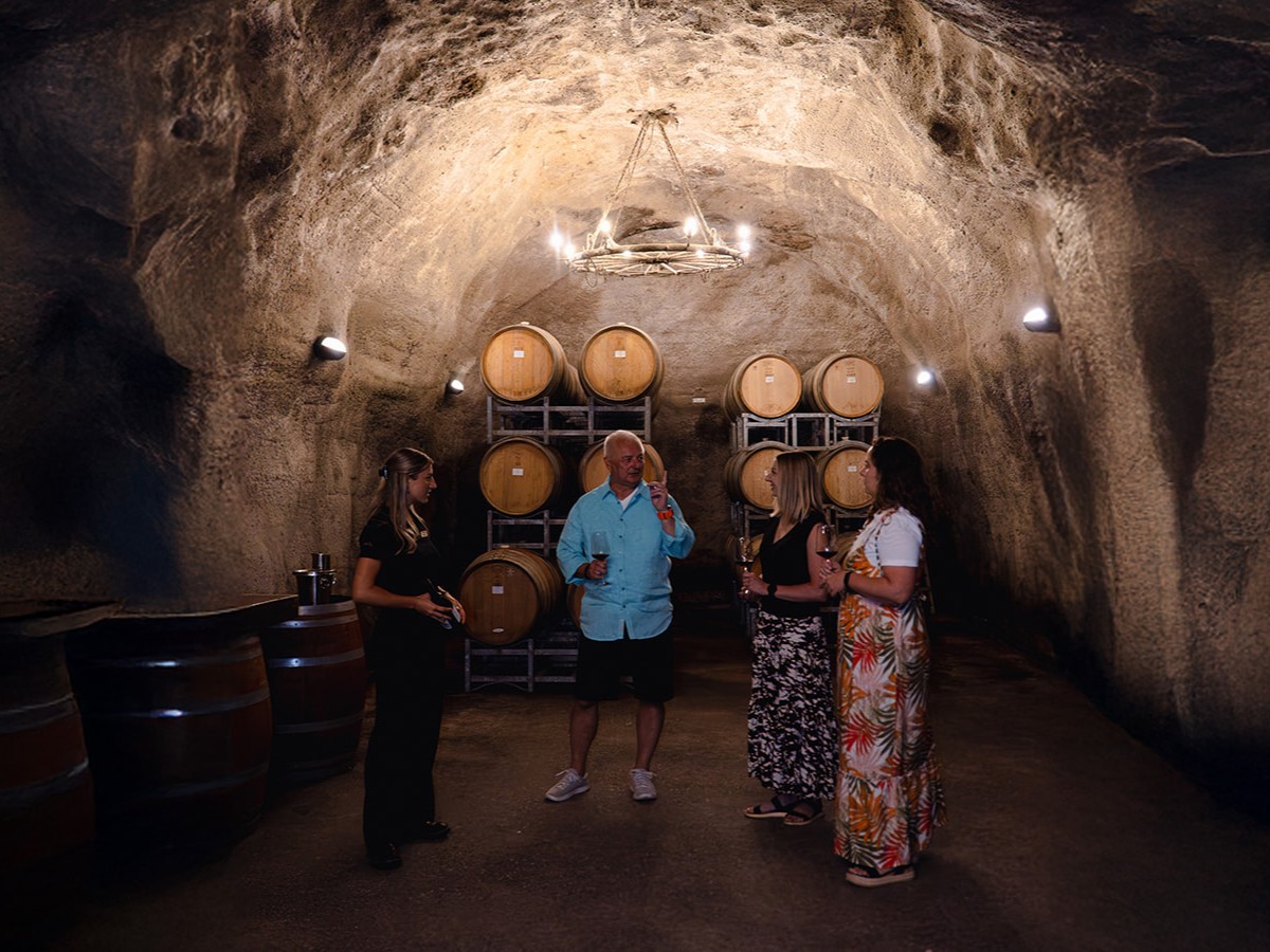 Appellation Wine Tours: Classic Wine Tour — Queenstown - Photo 1