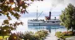 Cruise and Wine Tour