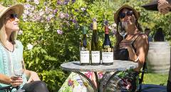 Private Boutique Wine Tour