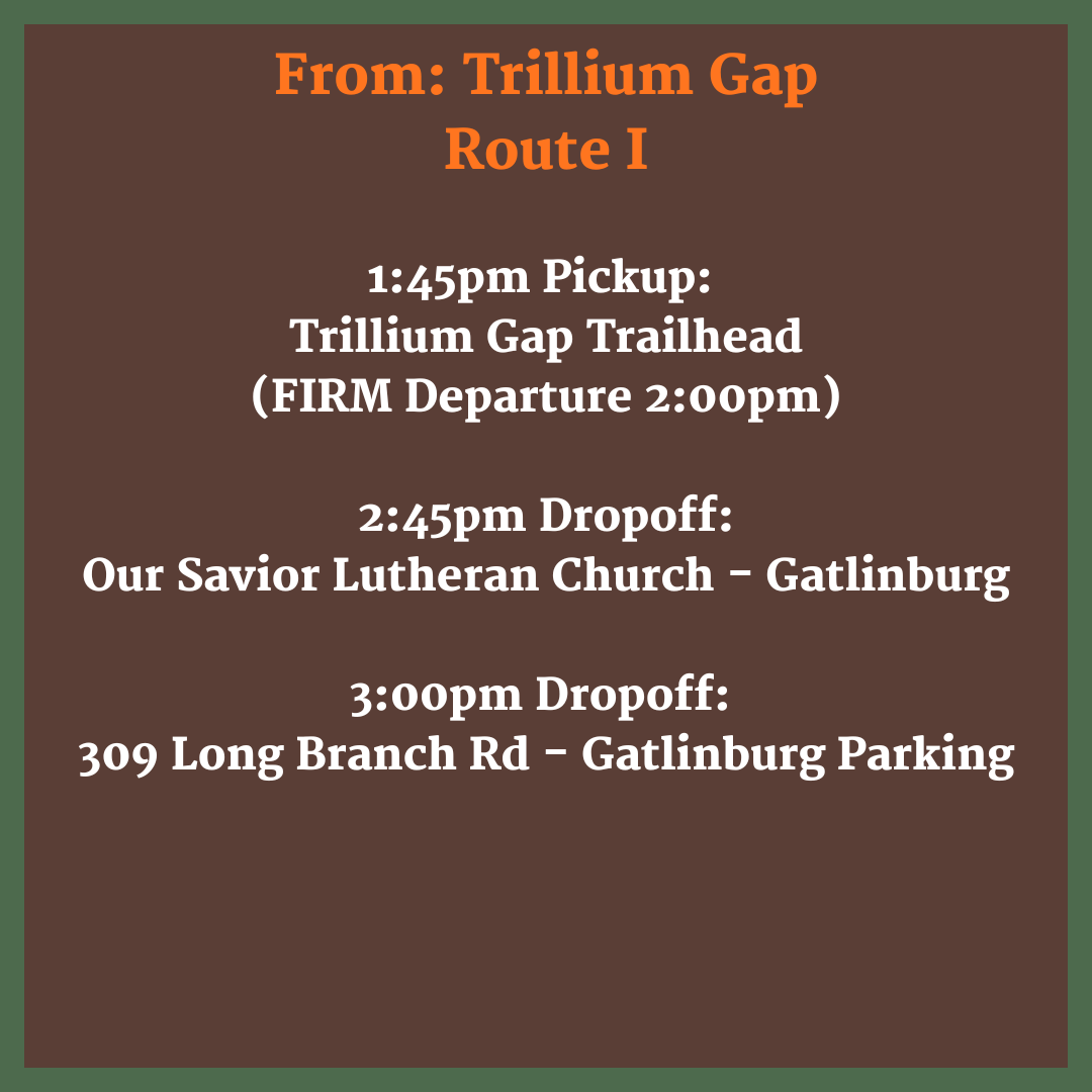 Route I - Return From Trillium Gap - 1:45pm (or Rainbow Falls if road is closed)