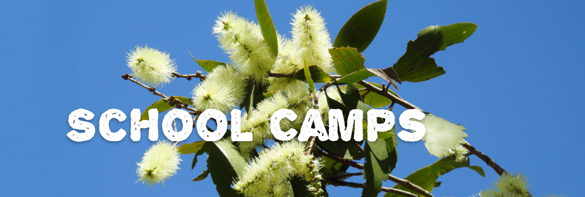 School Camp Booking - OPTION 3 (1 night)