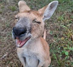 $50 Territory Wildlife Park Gift Card 