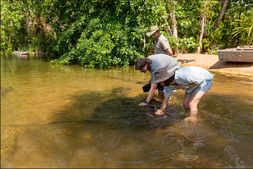 ANIMAL ENCOUNTERS - River Rays