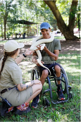 ANIMAL ENCOUNTER - Scaly Friends