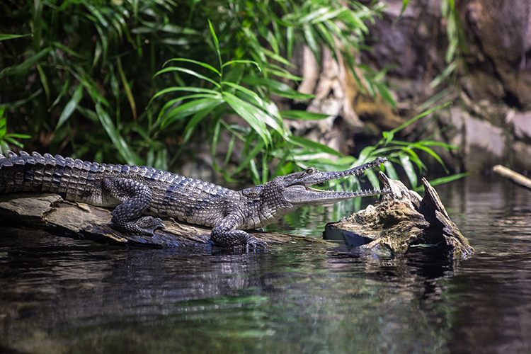 Territory Wildlife Park - General Admission - OTA