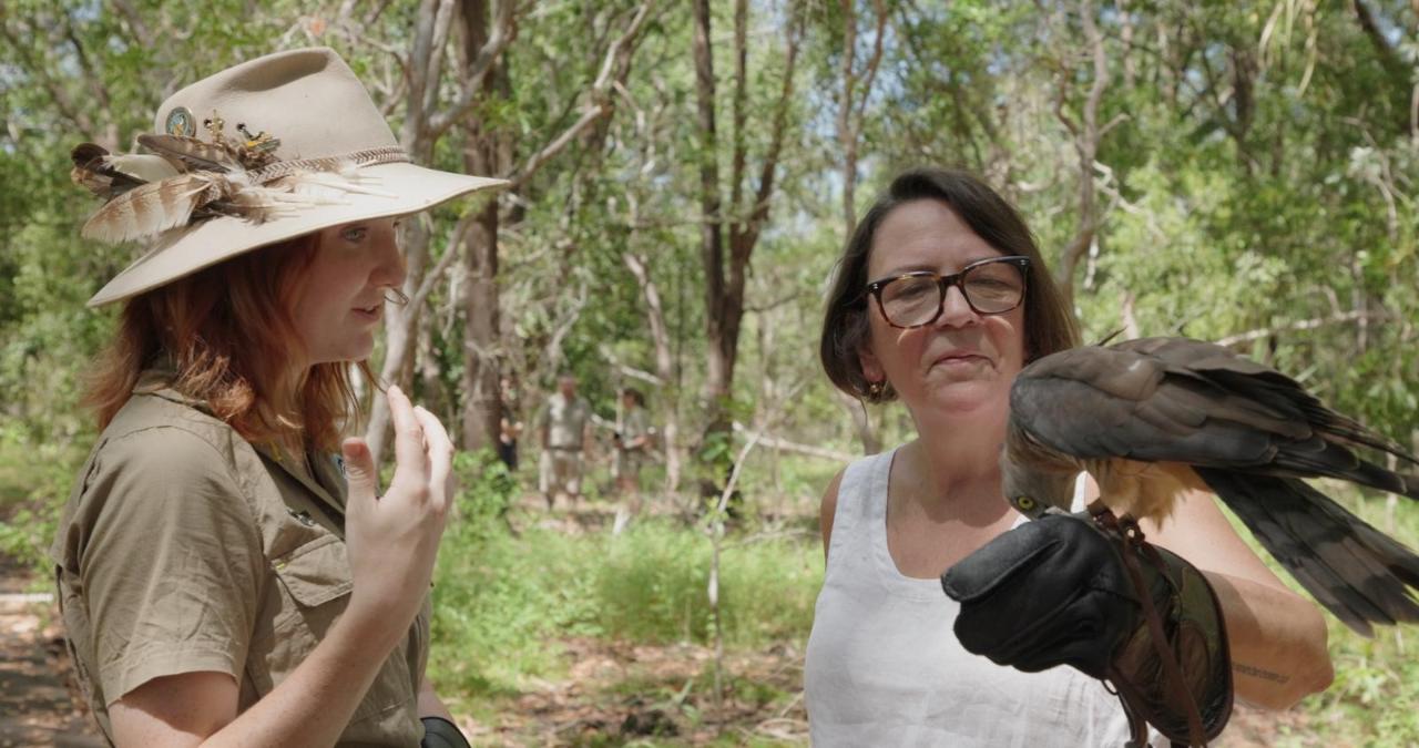 ANIMAL ENCOUNTER - Hawk Walk - Territory Wildlife Park Reservations