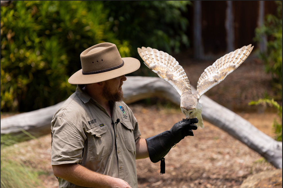 Territory Wildlife Park - General Admission - Territory Wildlife Park ...