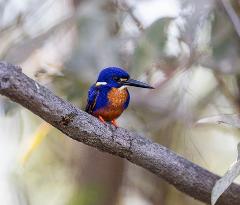 $150 Territory Wildlife Park Gift Card 