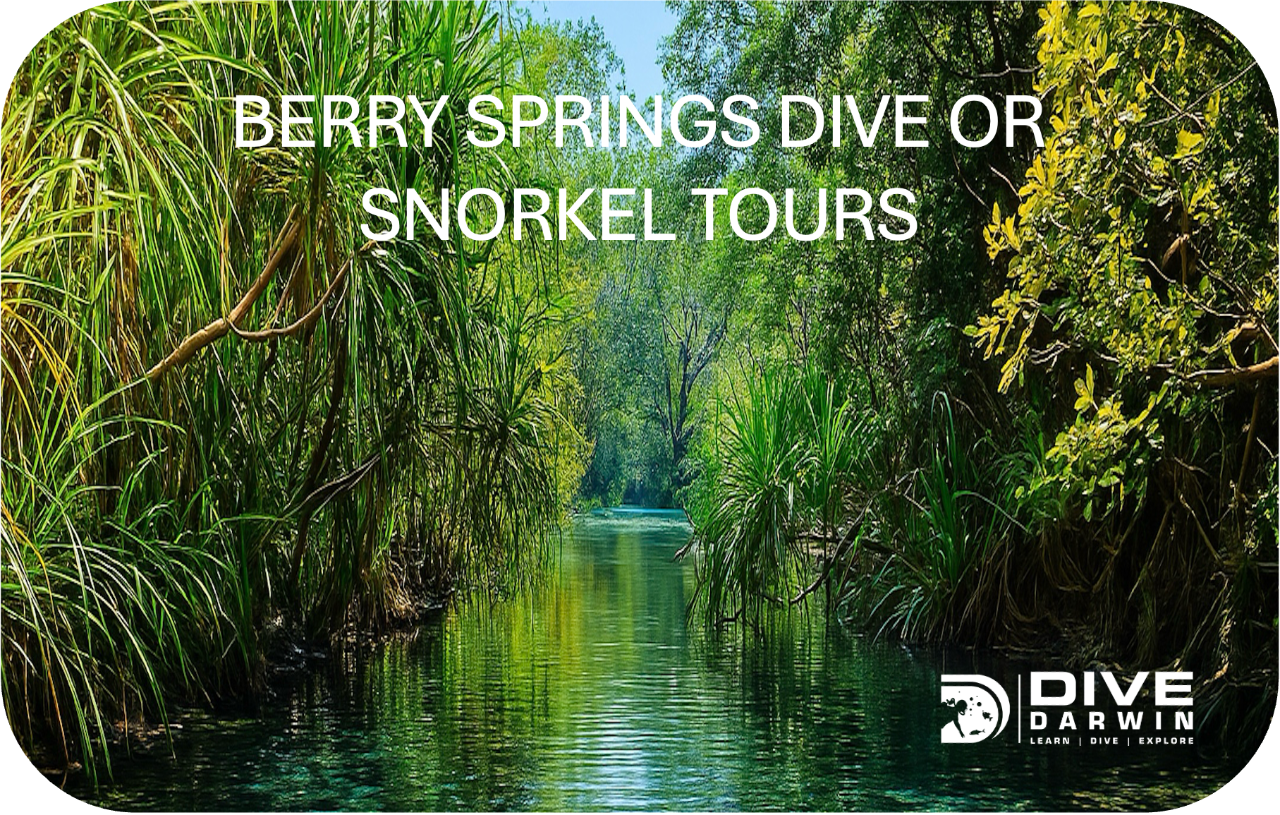 Berry Springs Dive or Snorkel Tours