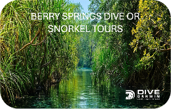 Berry Springs Dive or Snorkel Tours