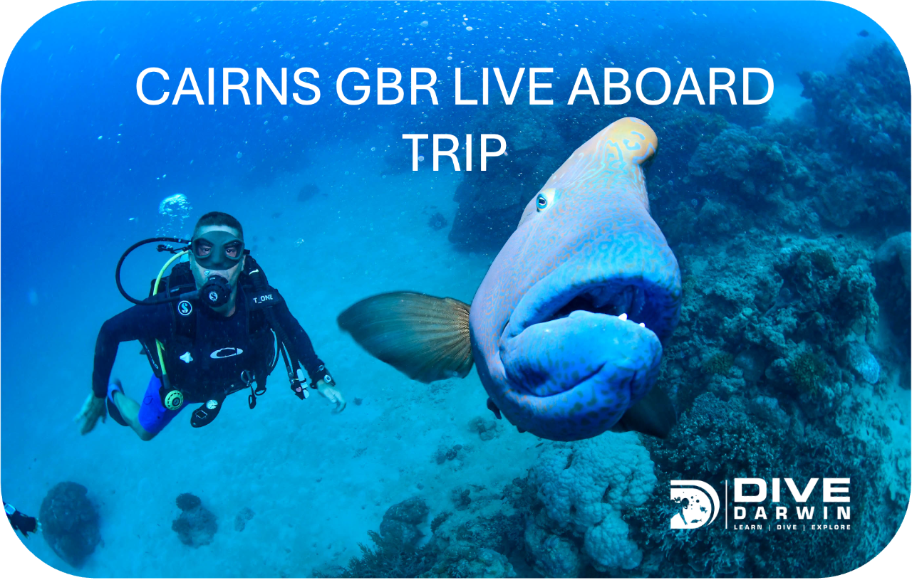 Cairns GBR Live - Aboard Trip