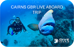 Cairns GBR Live - Aboard Trip