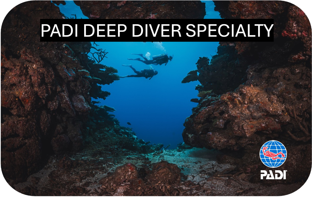 PADI Deep Dive Specialty Course