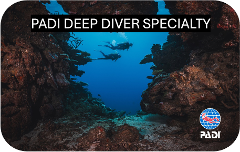 PADI Deep Dive Specialty Course