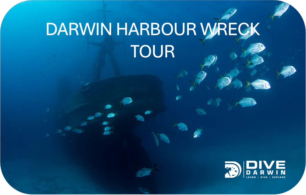Darwin Harbour Wreck Tours