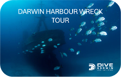 Darwin Harbour Wreck Tours