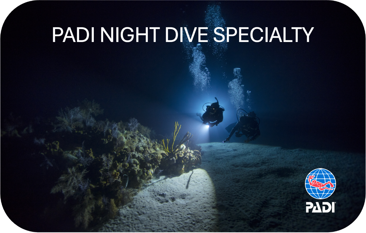PADI Night Dive Specialty Course