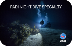 PADI Night Dive Specialty Course