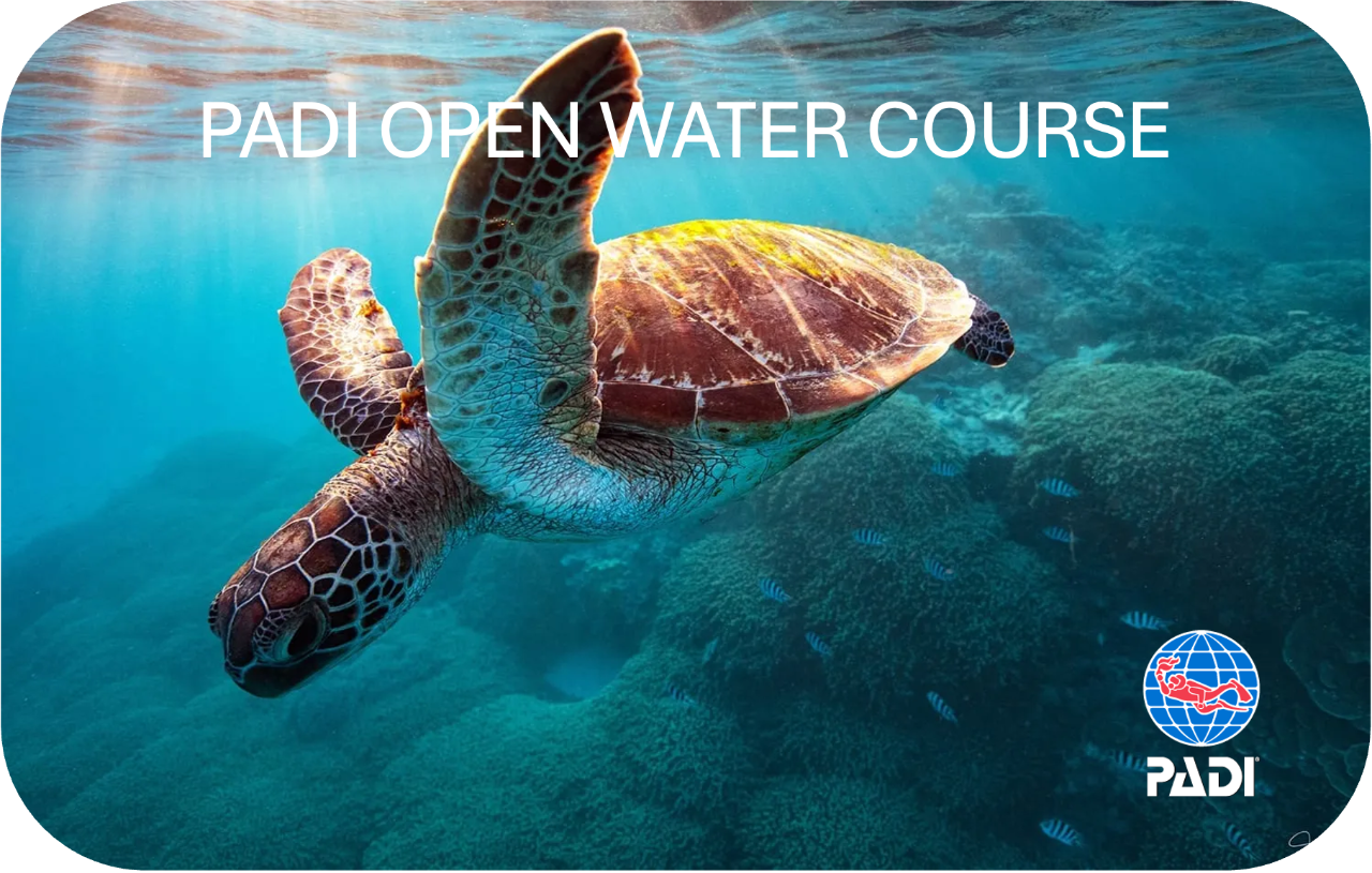 PADI Open Water Course - Learn to Dive