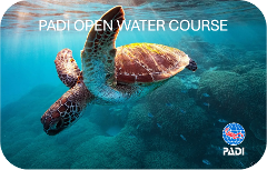 PADI Open Water Course - Learn to Dive