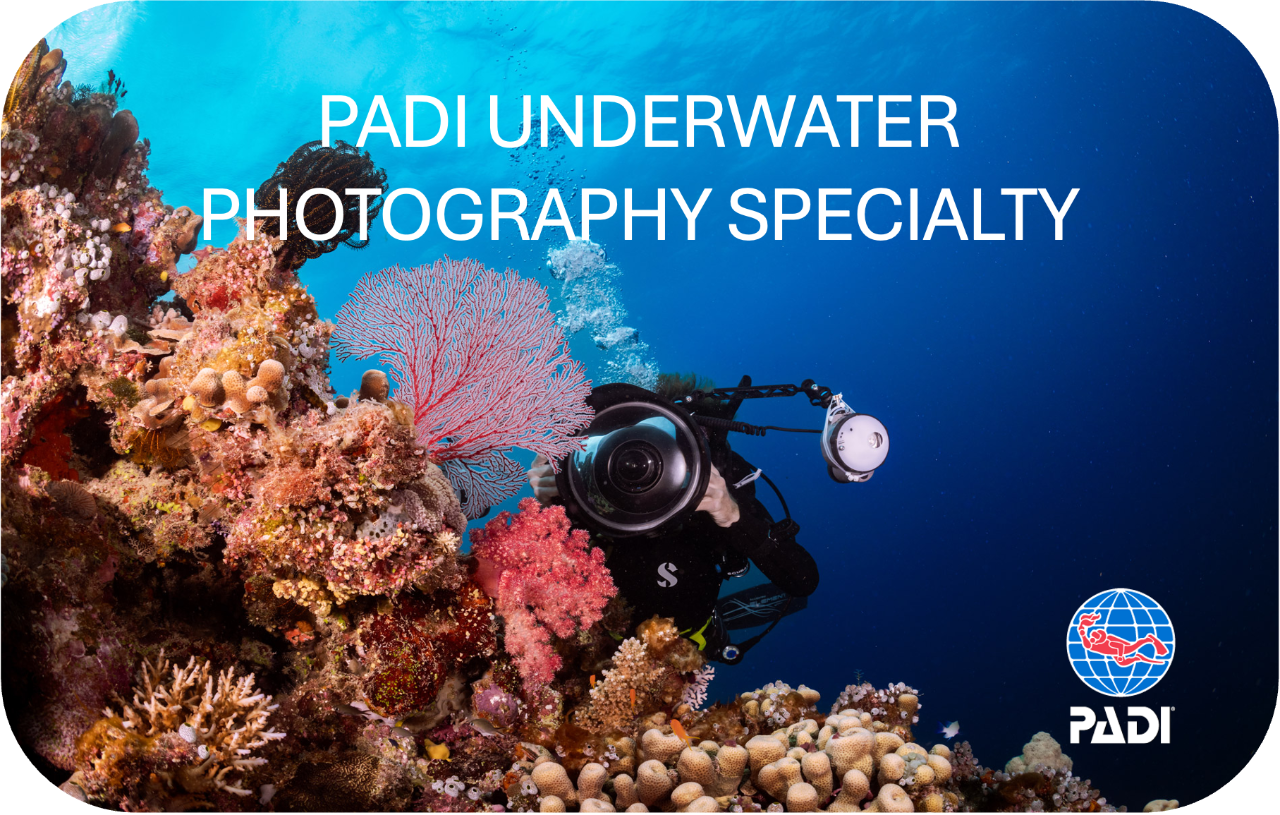 PADI Underwater Photography Course