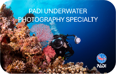 PADI Underwater Photography Course