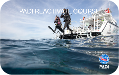 PADI Scuba Reactivate Course