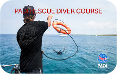 PADI Rescue Course