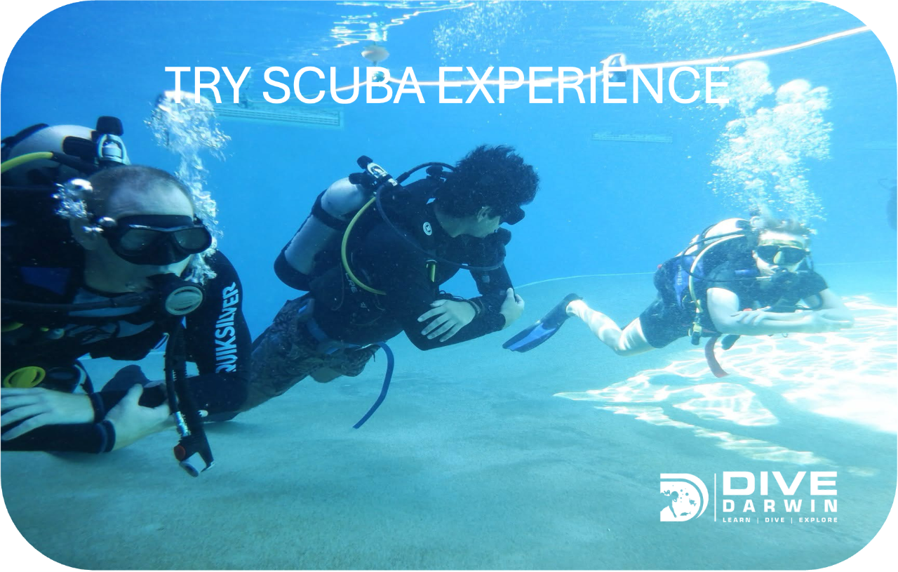 Try Scuba Experience