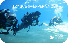 Try Scuba Experience